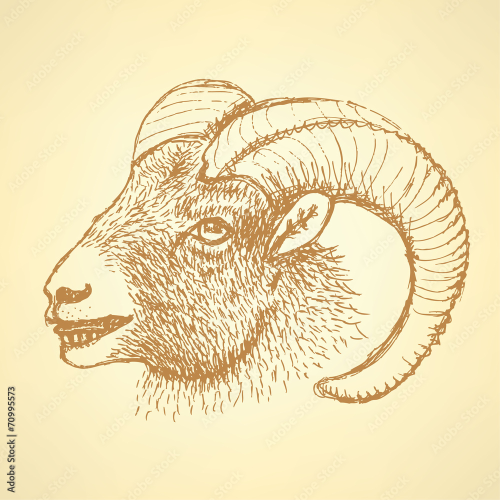 Sketch New Year ram in vintage style