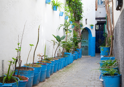 Narrow street with houseplants in old Medina. Tangier, Morocco © evannovostro