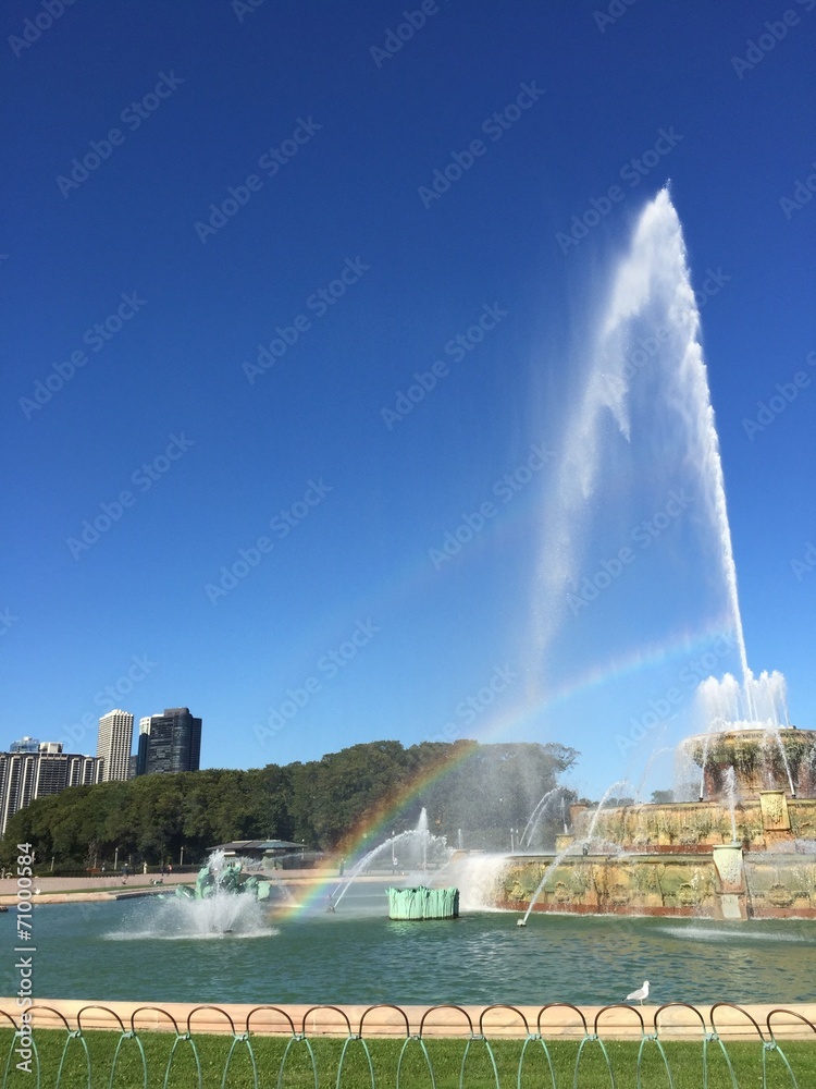 Fototapeta premium Buckingham fountain grant park Chicago