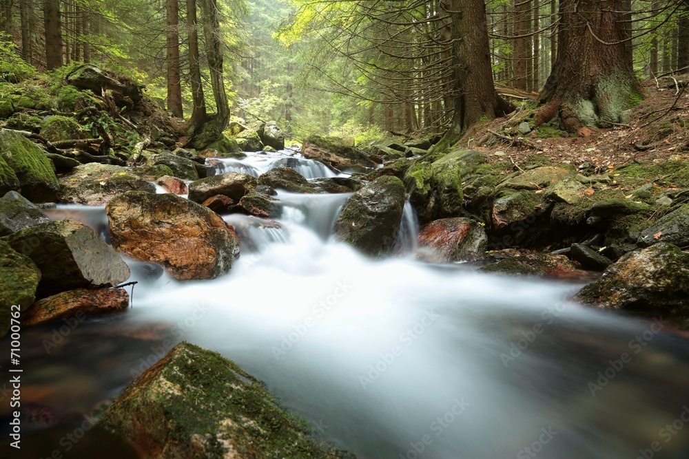 Fototapeta premium Stream flowing through the forest from the mountain slope