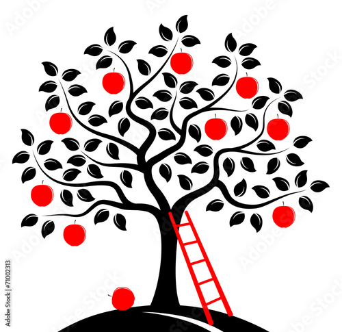 apple tree