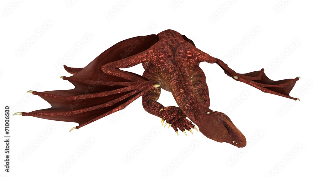 Fototapeta premium Resting Dragon