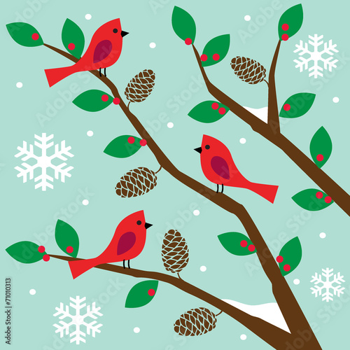 Photography birds on tree