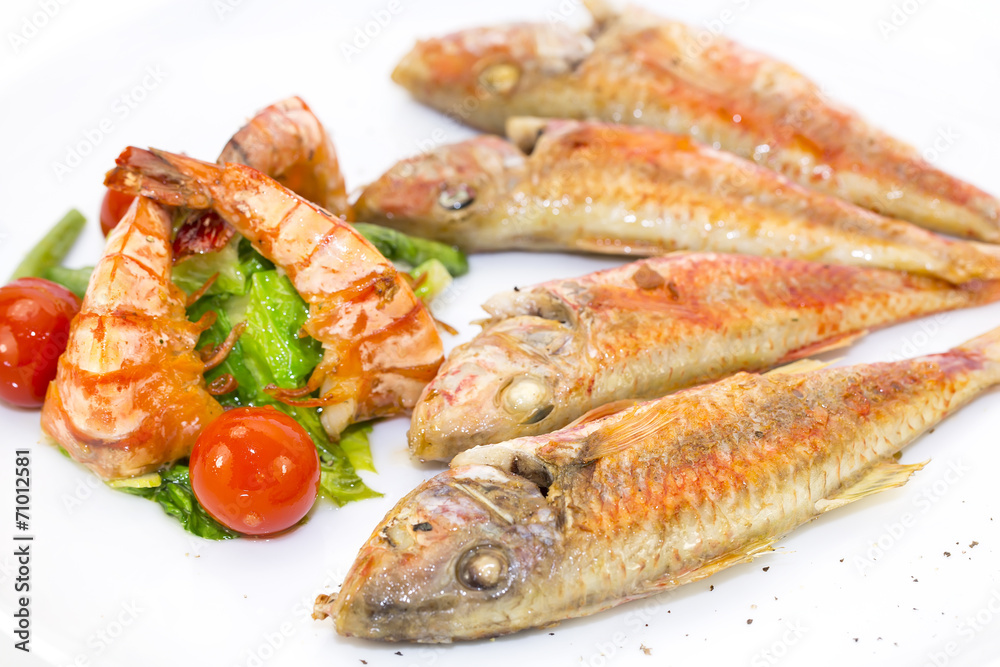 grilled fish with shrimp salad