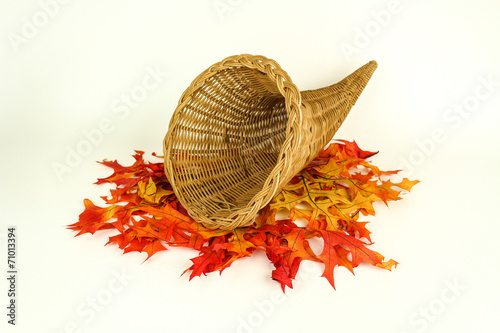 Autumn Harvest and Empty Cornucopia
