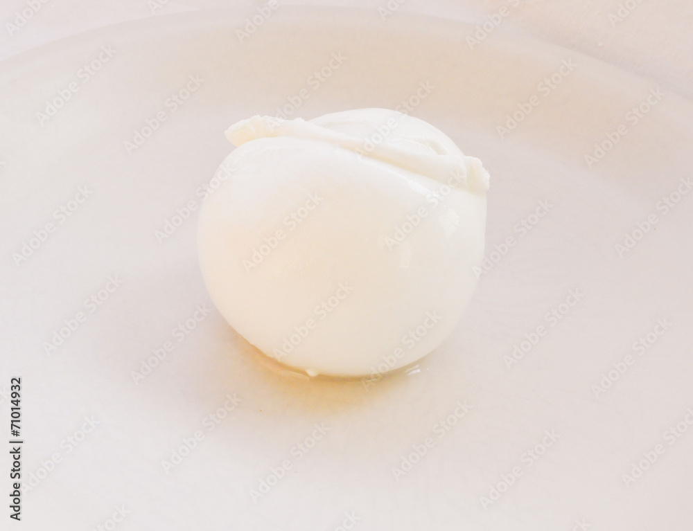 Retro look Mozzarella cheese Retro look Mozzarella cheese