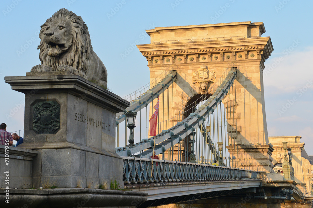 Fototapeta premium Chain Bridge in Budapest
