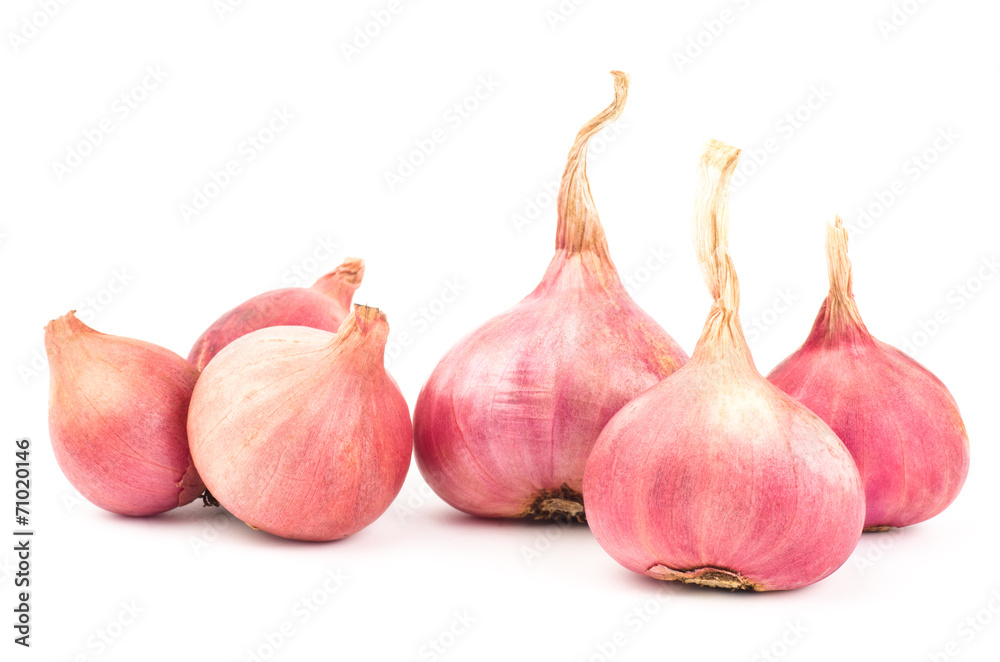 Obraz premium Fresh shallot