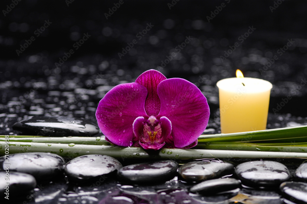 Spa and aromatherapy concept shot