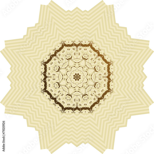 Brown31