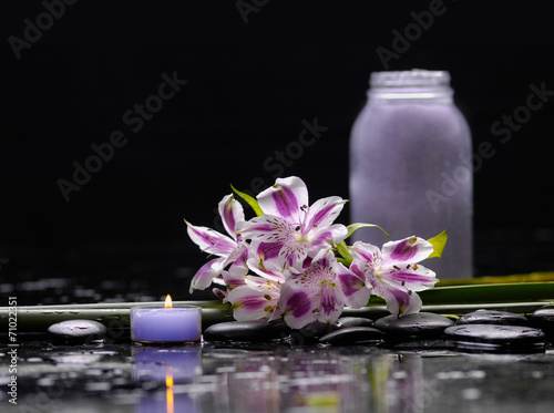 Spa still life with branch of beautiful orchid and candle