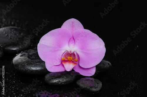 Macro of beautiful orchid with therapy stones