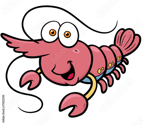 Vector illustration of Shrimp