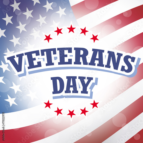 veterans day american flag