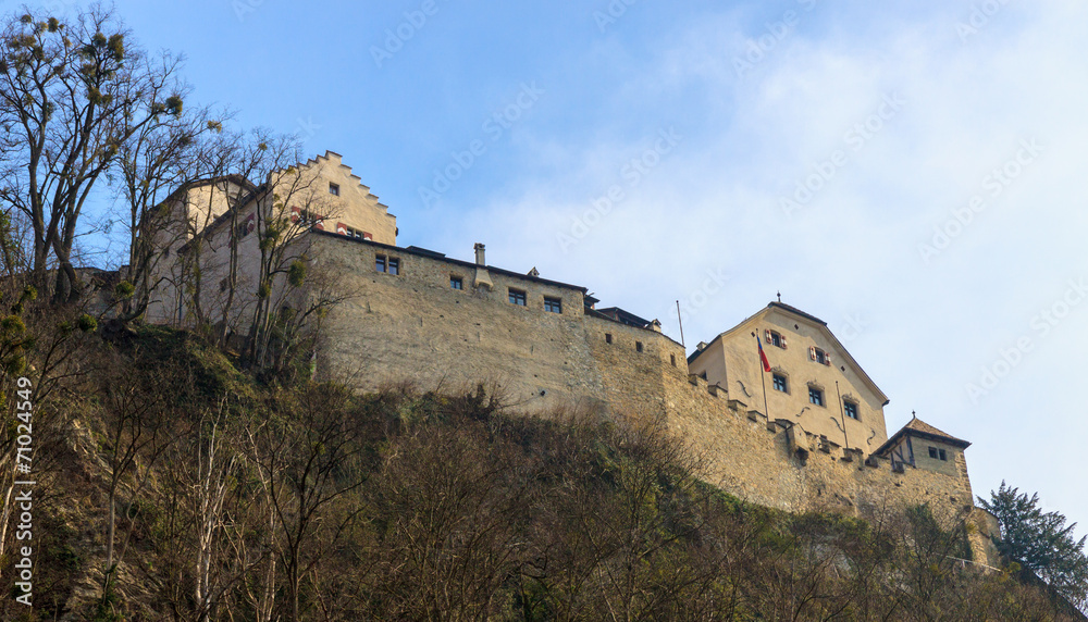 Wall of castle Prince of Liechtenstein in Vaduz