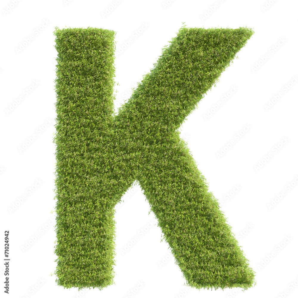 Letter of the grass,isolated Letter of the grass,isolated