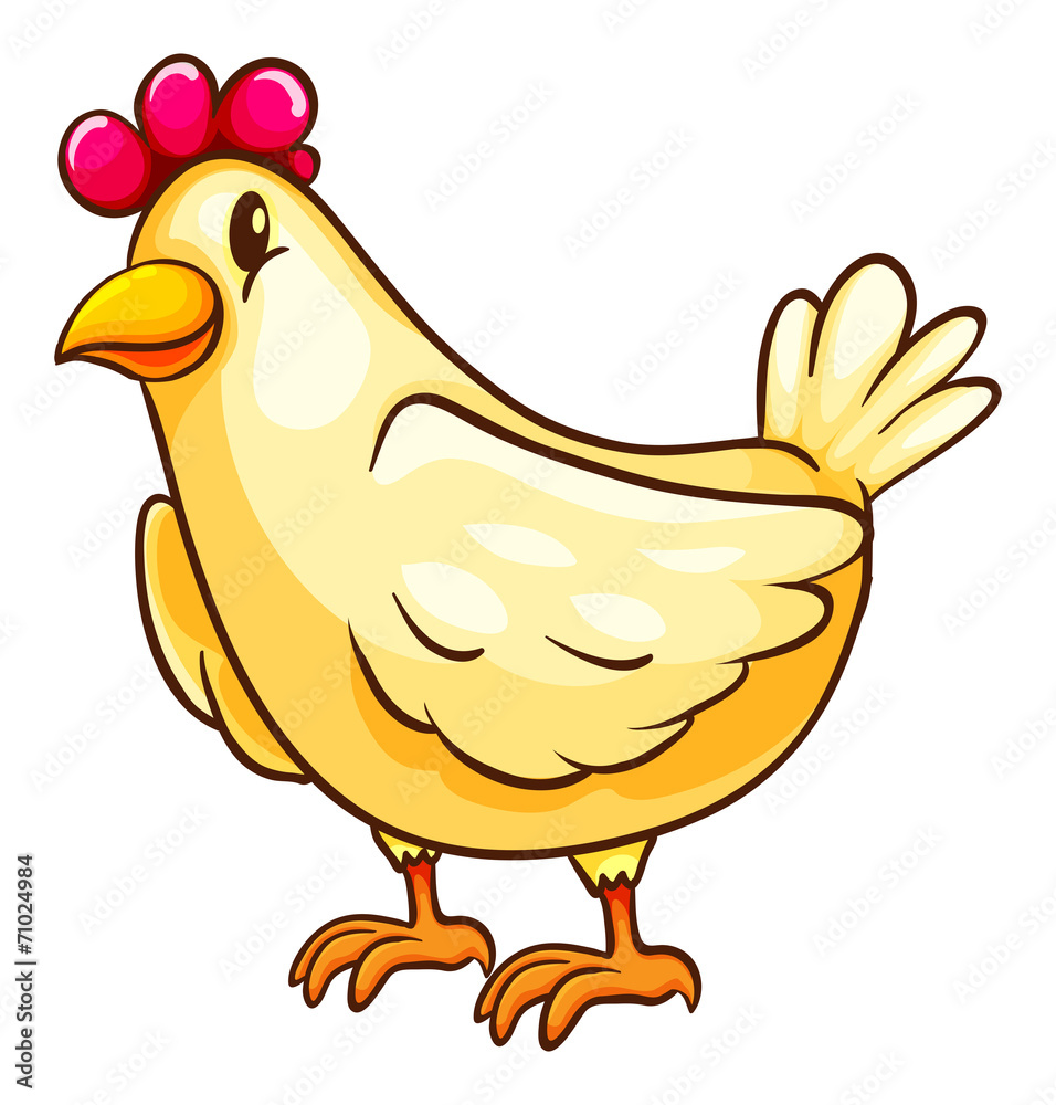 A farm animal A farm animal