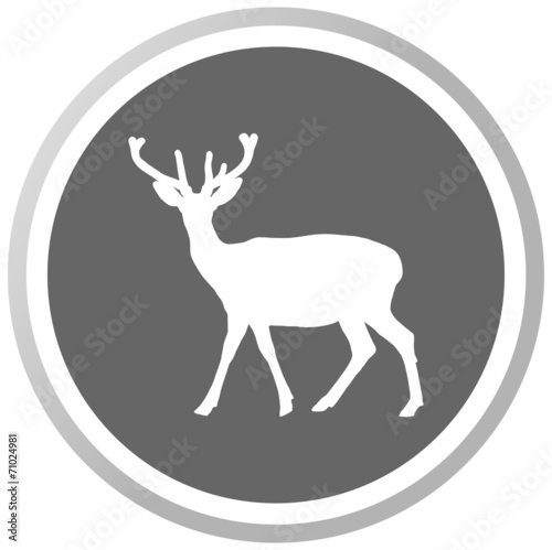 a deer in a grey Panel