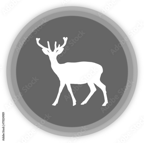 a deer in a grey Panel