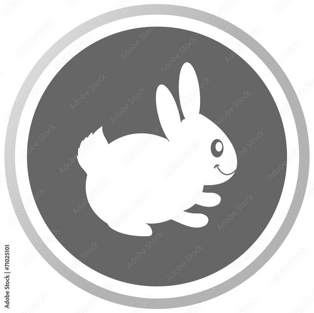 a rabbit in a grey Panel