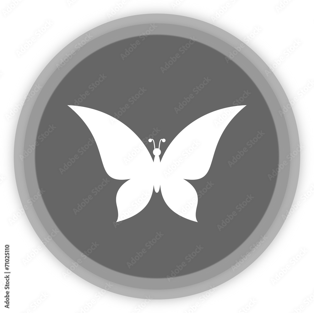 a butterfly in a grey Panel