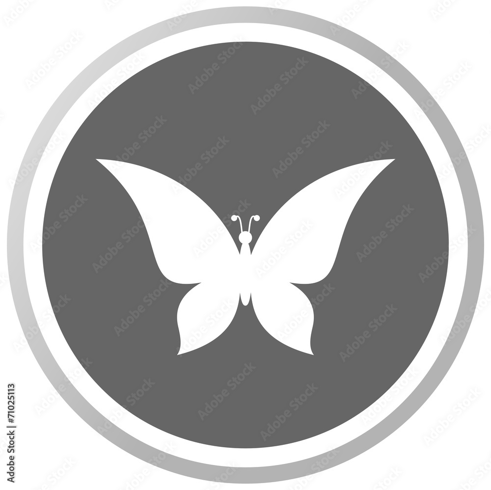 a butterfly in a grey Panel