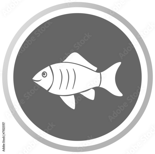 a fish in a grey Panel