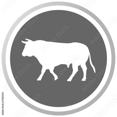 a bull in a grey Panel