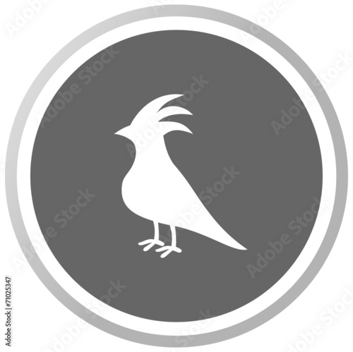 a bird in a grey Panel