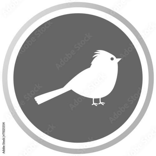 a bird in a grey Panel