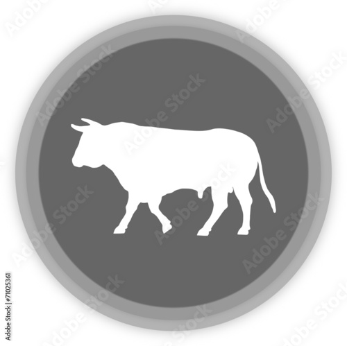 a bull in a grey Panel
