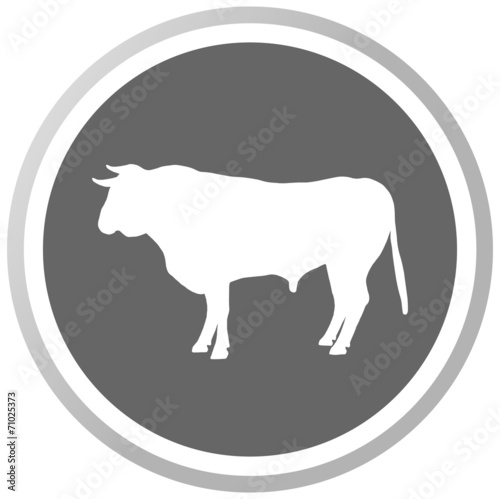 a bull in a grey Panel