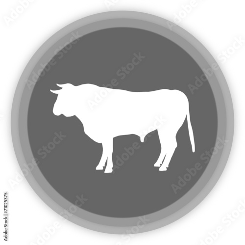 a bull in a grey Panel
