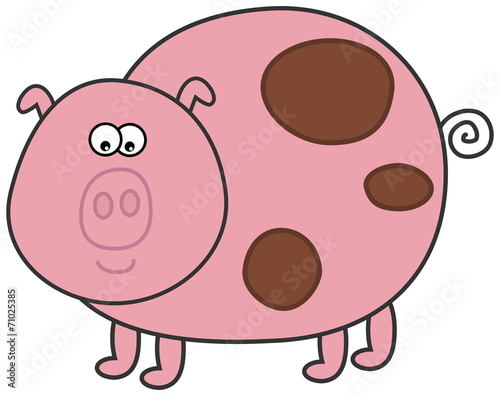a pig with muddy