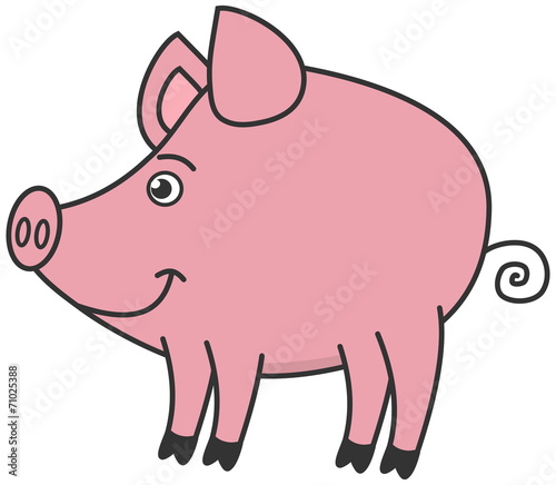 a little pig profile