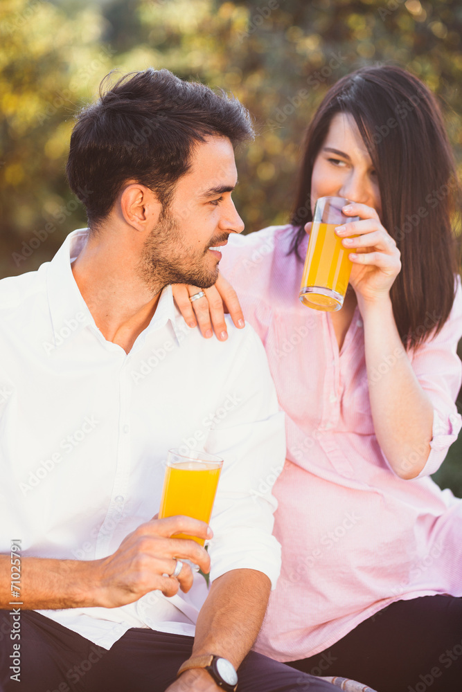 Pregnant couple on picnic
