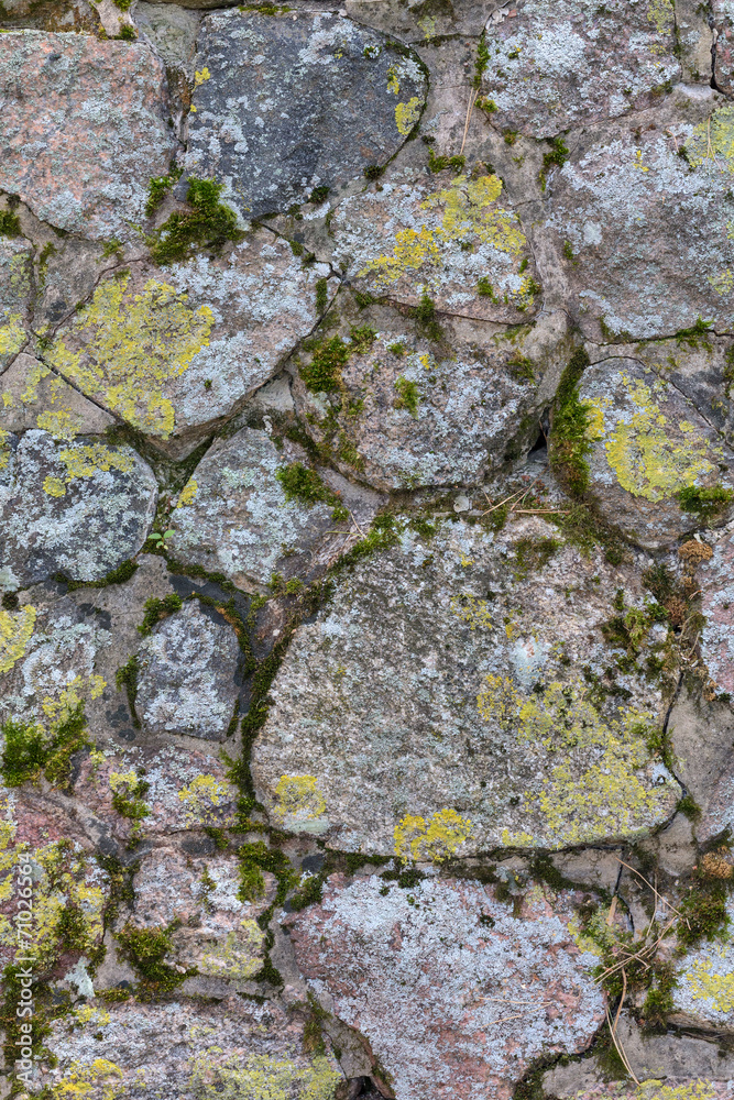 stones in moss and lichen background