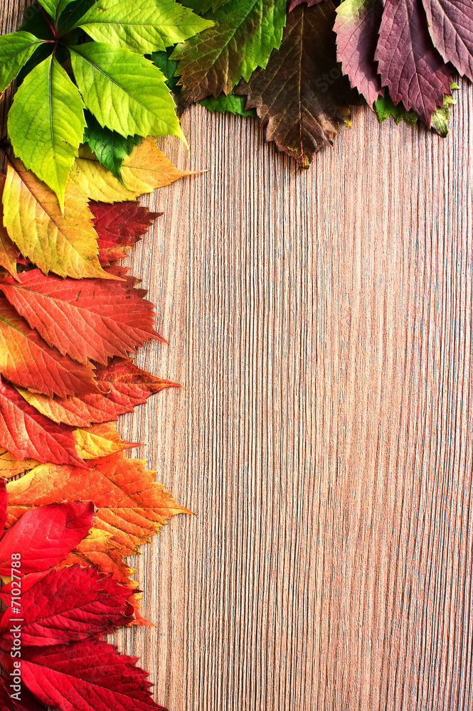 Autumn leaves over wooden background. With copy space Autumn leaves over wooden background. With copy space