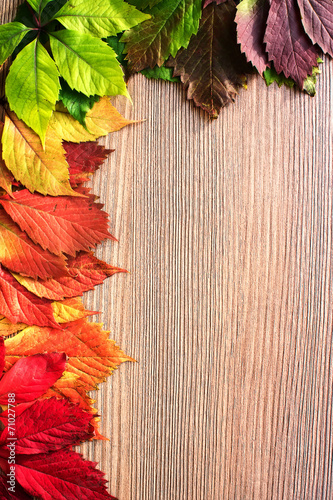 Autumn leaves over wooden background. With copy space