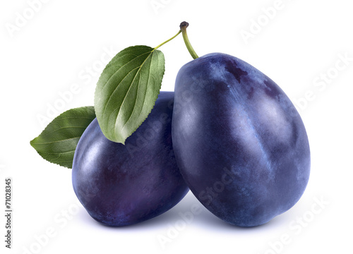 Vászonkép Two blue plums isolated on white background