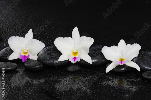 Fototapeta Naklejka Na Ścianę i Meble -  Set of white orchid on pebbles –wet background