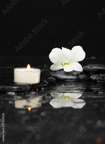 white orchid with white candle and therapy stones