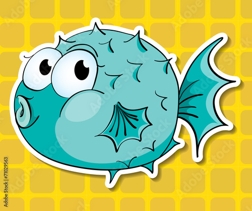 Puffer fish
