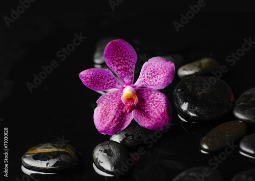 Pink orchid and therapy stones