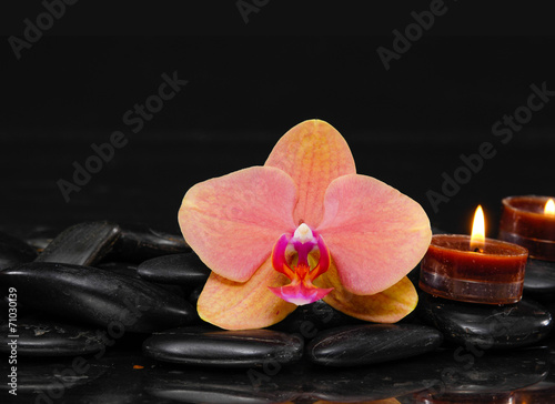 Orange orchid with two candle and therapy stones