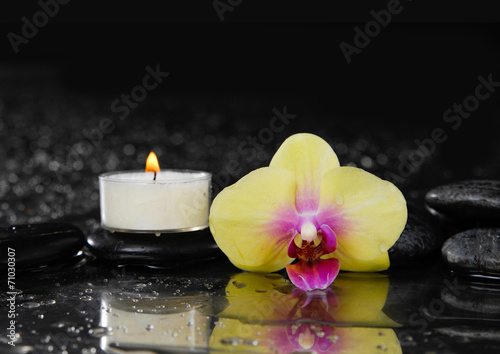 white orchid with yellow candle and therapy stones