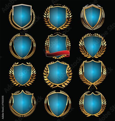 Blue and gold shield design