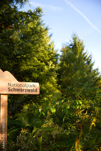 Nationalpark Schwarzwald