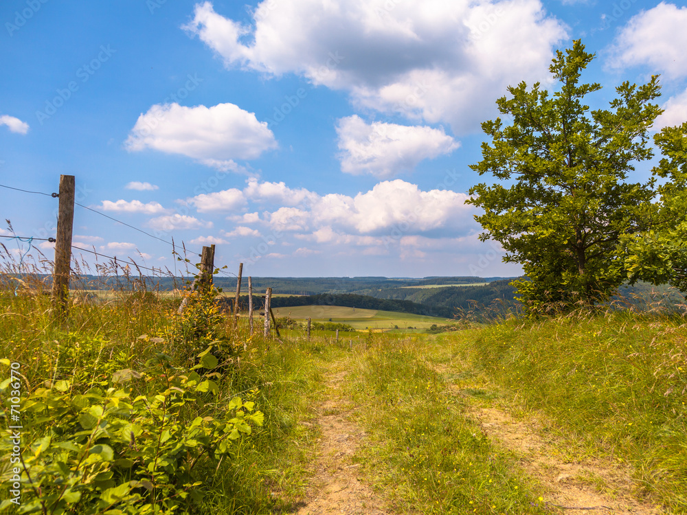 Fototapeta premium Walking trail on a Hill in a Green Summer Landscape