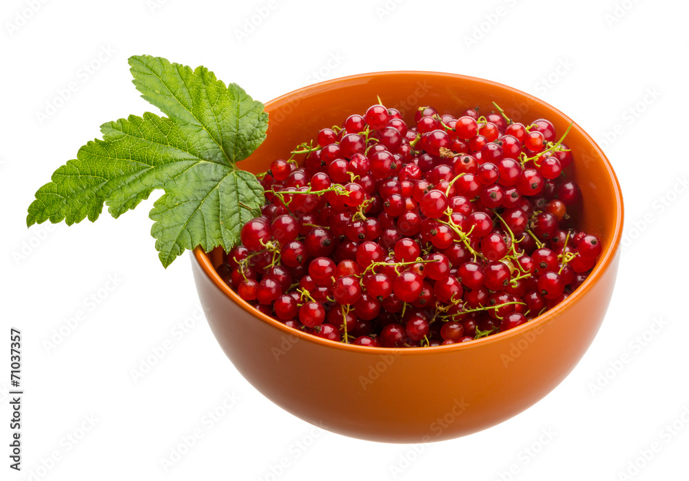 Red currant